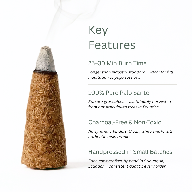 Incienso de Palo Santo en Conos — 1.000 Unidades — A Granel