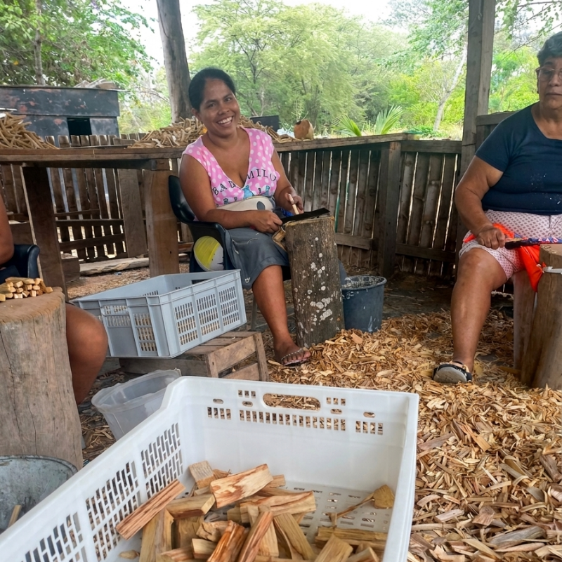 Incienso de Palo Santo 10 kg (22 lbs) Premium Cortados a Mano