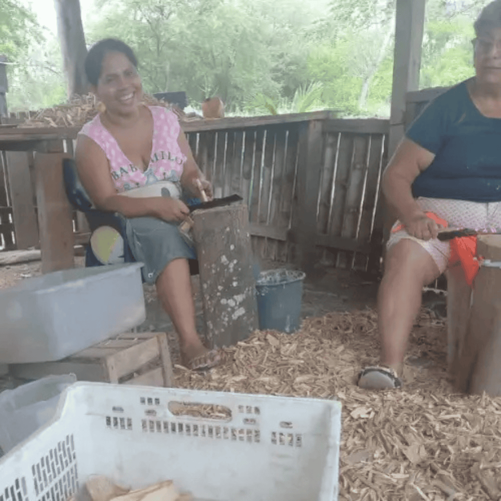 Palo Santo Sticks - 5 kg (11 lbs) Bulk Pack