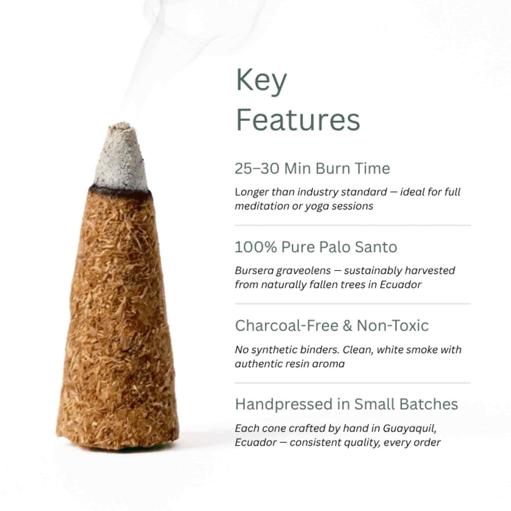 Palo Santo & Frankincense Incense Cones — 1,000 Count — Bulk