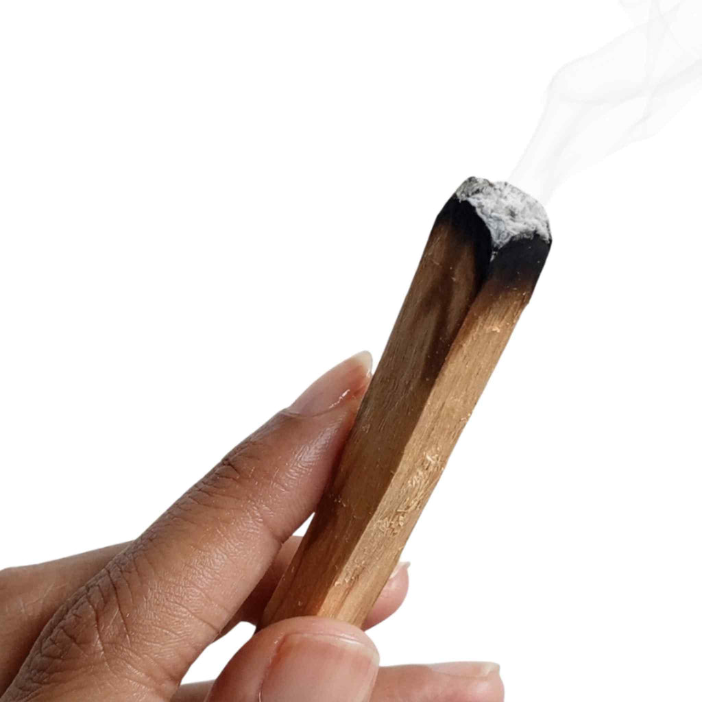 Palo Santo Sticks - 15kg (33 lbs) Bulk Pack