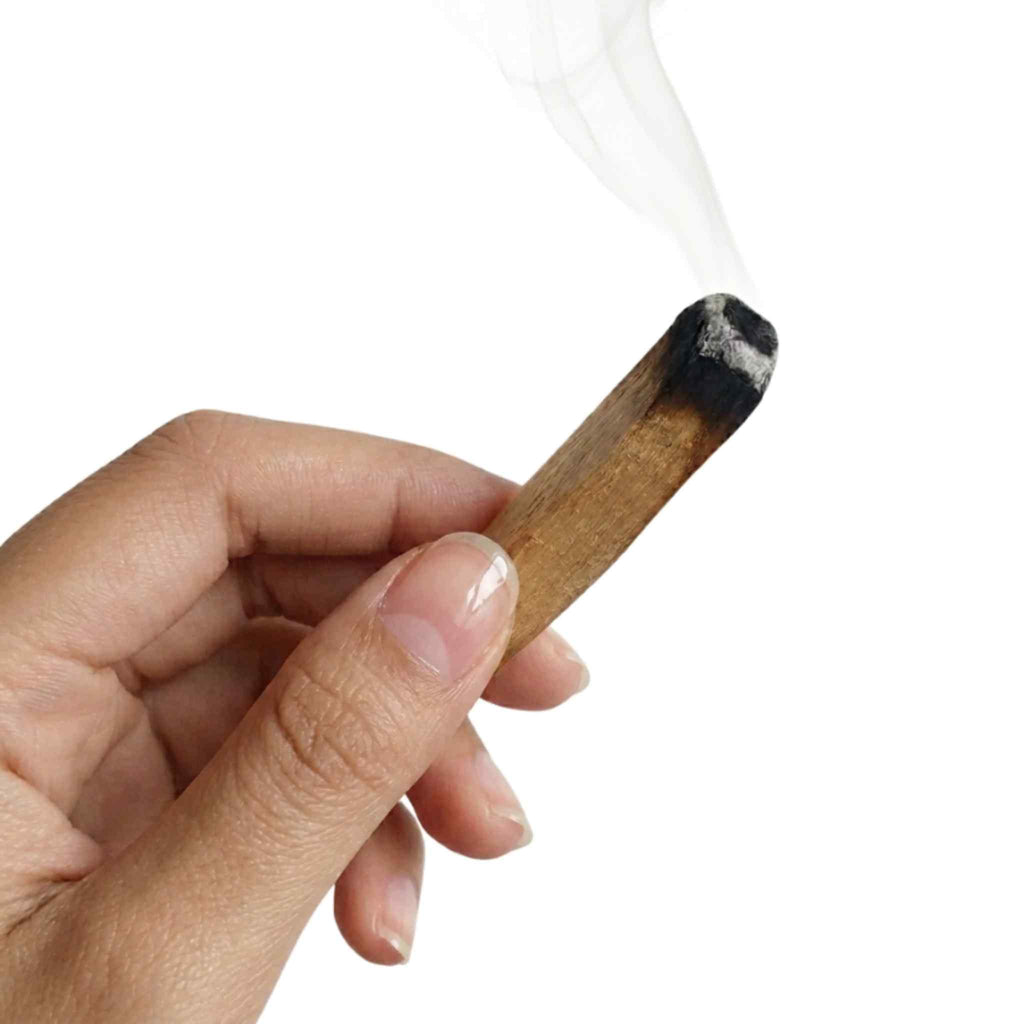Palo Santo Sticks - 10kg (22 lbs) Bulk Pack