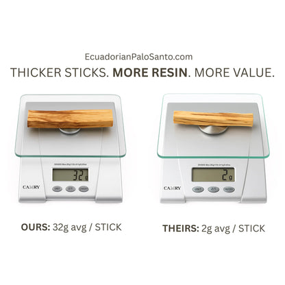 Thicker Palo Santo sticks with high resin content — ideal for premium incense and wholesale buyers